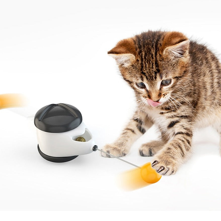 BALLE ROTATIVE AVEC HERBE À CHAT