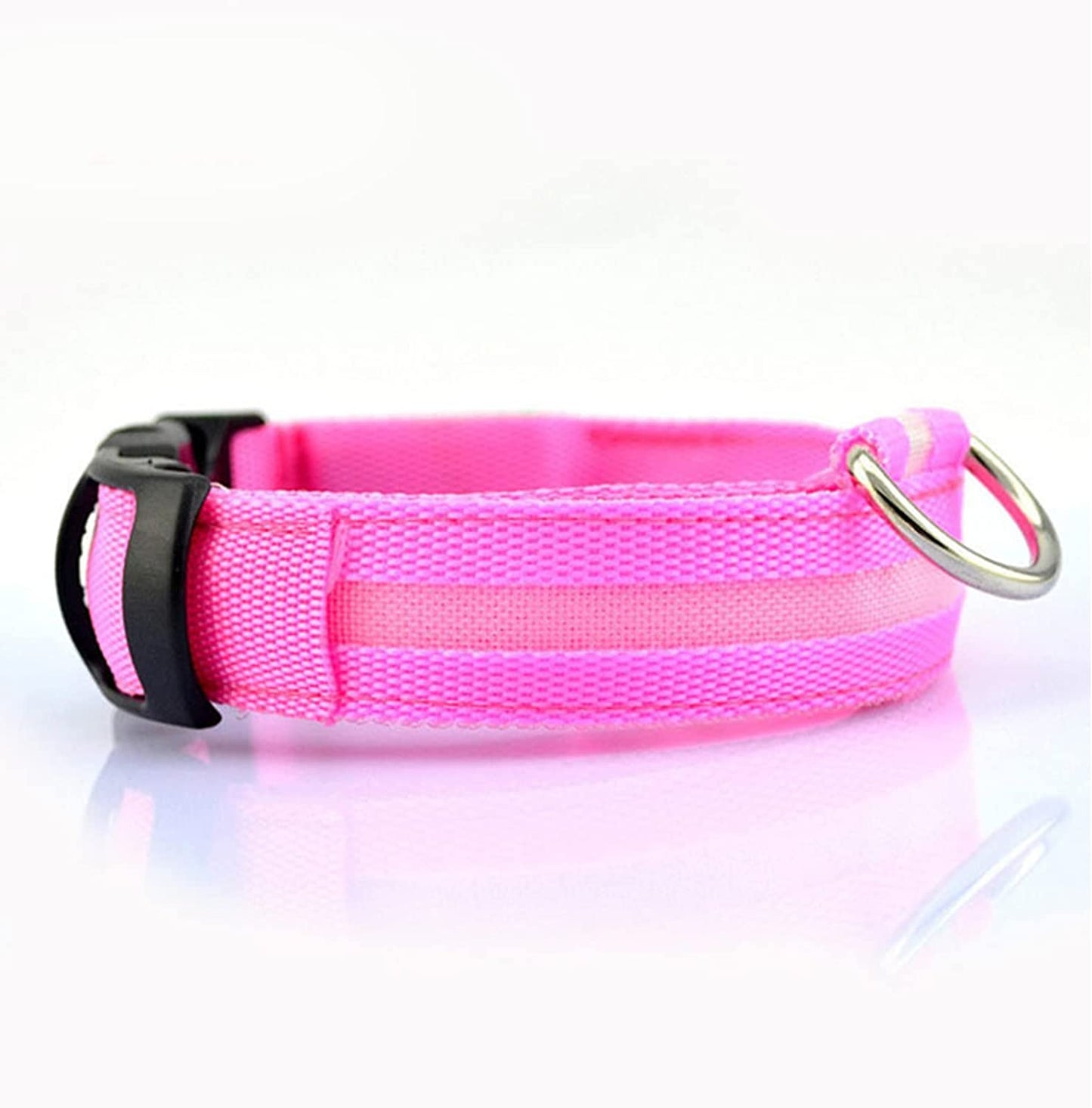 Collier lumineux pour chien