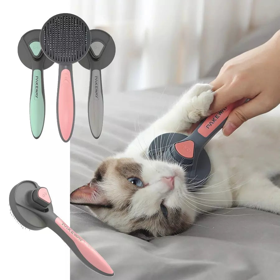 BROSSE TOILETTAGE DÉMÊLANTE ET MASSANTE