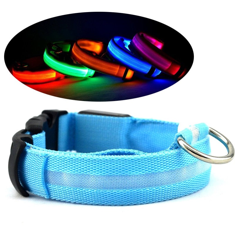 Collier lumineux pour chien