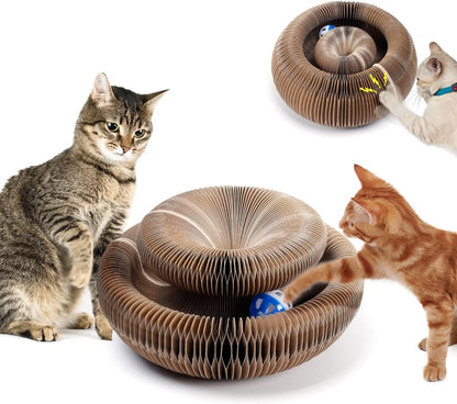 PLANCHE À GRATTER MAGIQUE POUR CHAT