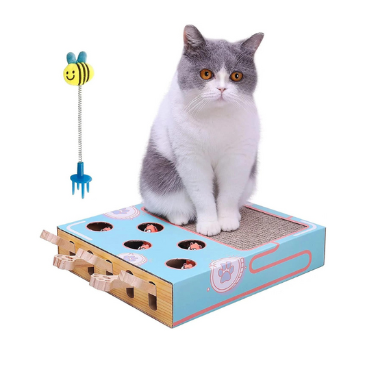 Jeux Griffoir 2 en 1 pour Chat