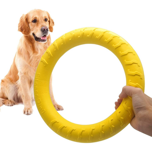 Anneau interactif de dressage pour chien