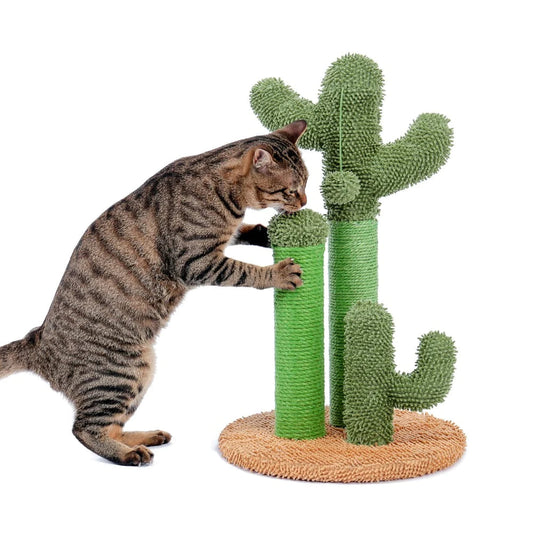 GRIFFOIR CACTUS POUR CHAT