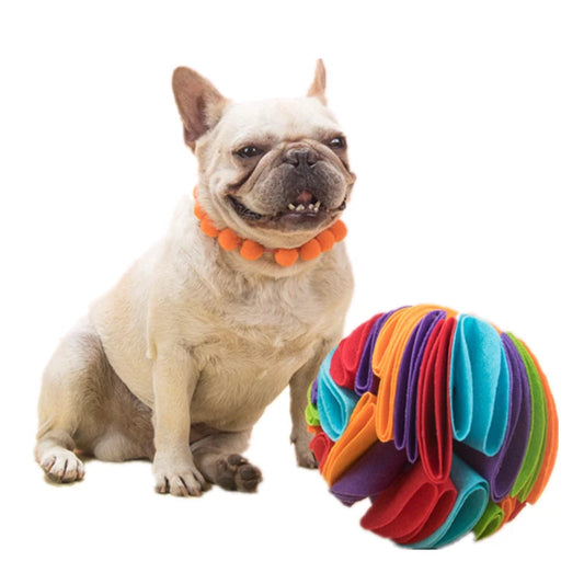 Balle de fouille pour chien